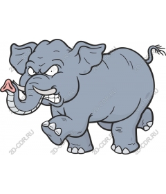  Angry elephant