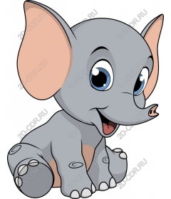 The cute elephant
