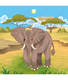 Majestic African elephant