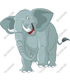 Funny elephant