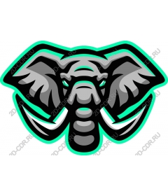  Brave elephant
