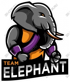  Team Elephant