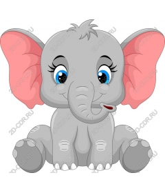  Adorable grey elephant