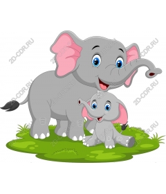  Charming Duo of elephants