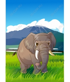Majestic elephant