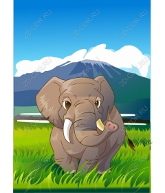 Majestic elephant