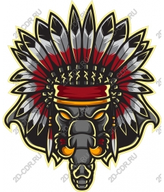 Headdress warrior
