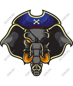  Pirate elephant