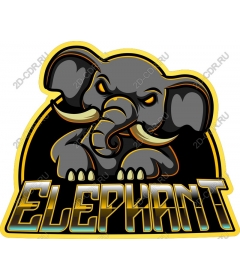  Ferocious elephant
