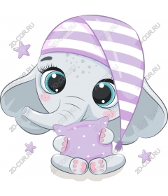  Adorable baby elephant