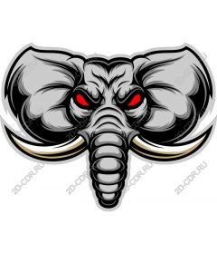 Head ferocious elephant