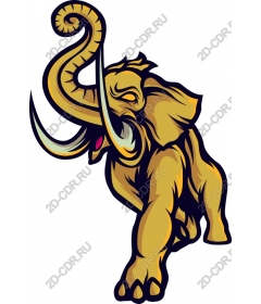Majestic elephant