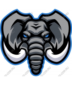  Ferocious elephant