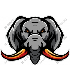  Fiery elephant