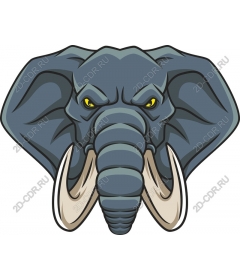  Ferocious elephant