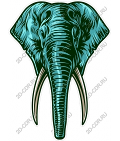 Majestic elephant head