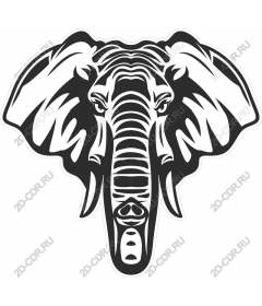 Majestic elephant head