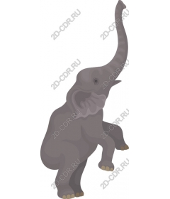 Playful elephant