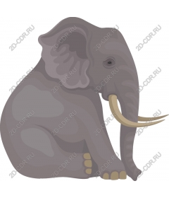  Sitting elephant