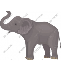  Adorable elephant