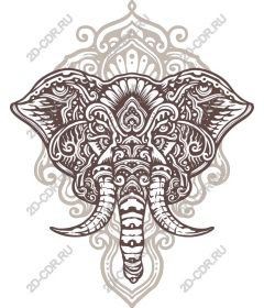 Majestic elephant