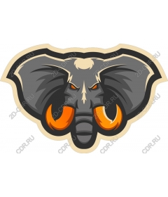  Ferocious elephant
