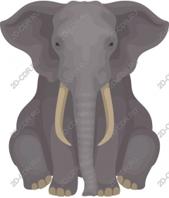 Majestic elephant