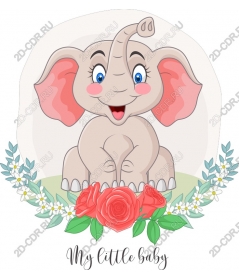  Adorable baby elephant