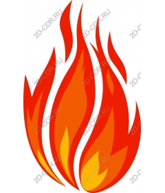 Dynamic Flame