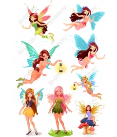 Fairy Set: Fancy s