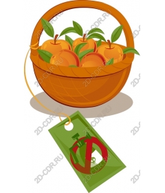  Корзина свежих апельсинов