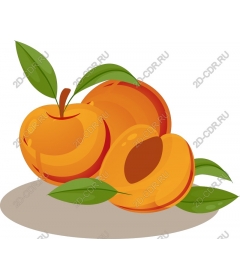  Bright apricot