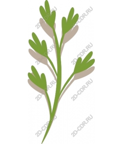  Elegant green grass