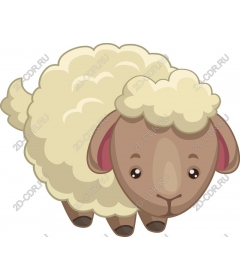  Cute sheep
