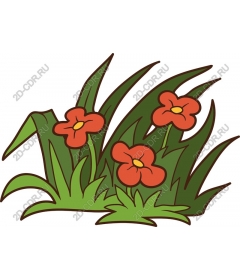  Bright red flower in the grass