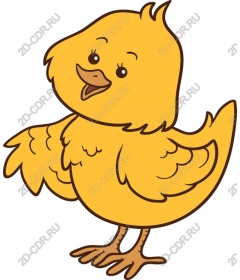  Cute yellow chick