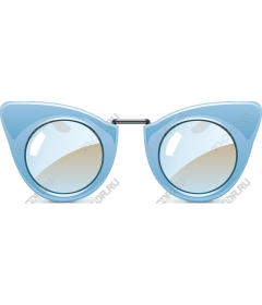 Vintage sunglasses cat-eye