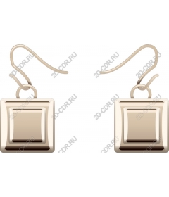  Earrings square shape