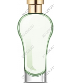  Elegant and modern perfume bottle