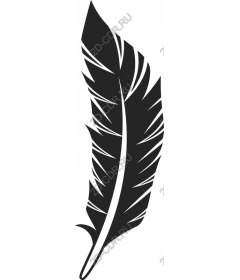  Feather