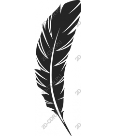 Elegant black feather