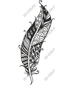  Elegant feather