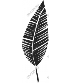  Stylish monochrome leaf