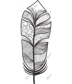  Black and white decorative feather