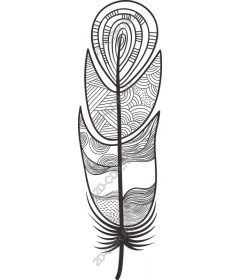  Elegant feather