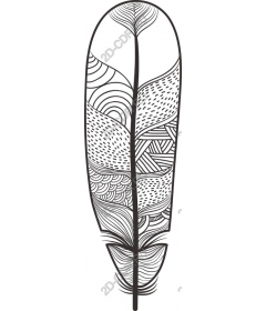  Elegant feather