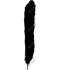  Feather