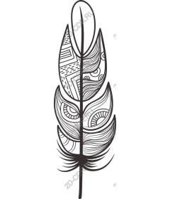  Stylized feather