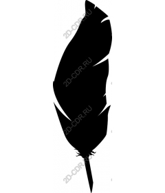  Elegant black feather