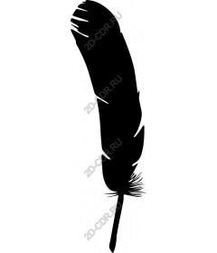  Elegant black feather